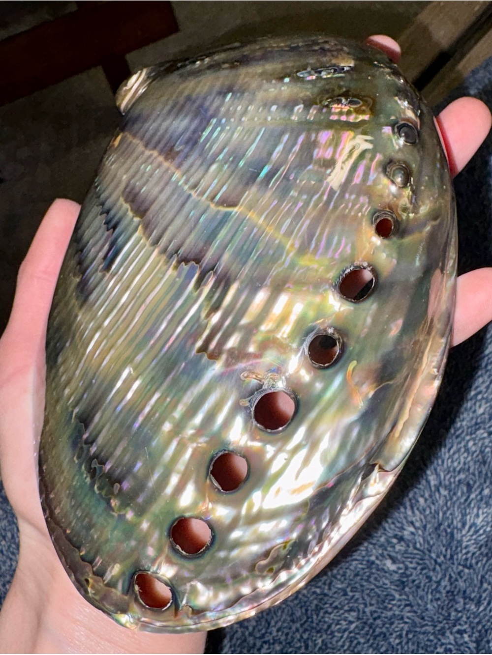 Iridescent Abalone Shell Decorative Bowl - Natural Multi-Color Accent - Picture 3 of 3